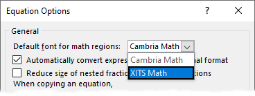Microsoft Word Equation Options Dialog