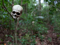10 million steps - Darien Gap