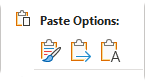 Word Paste Options