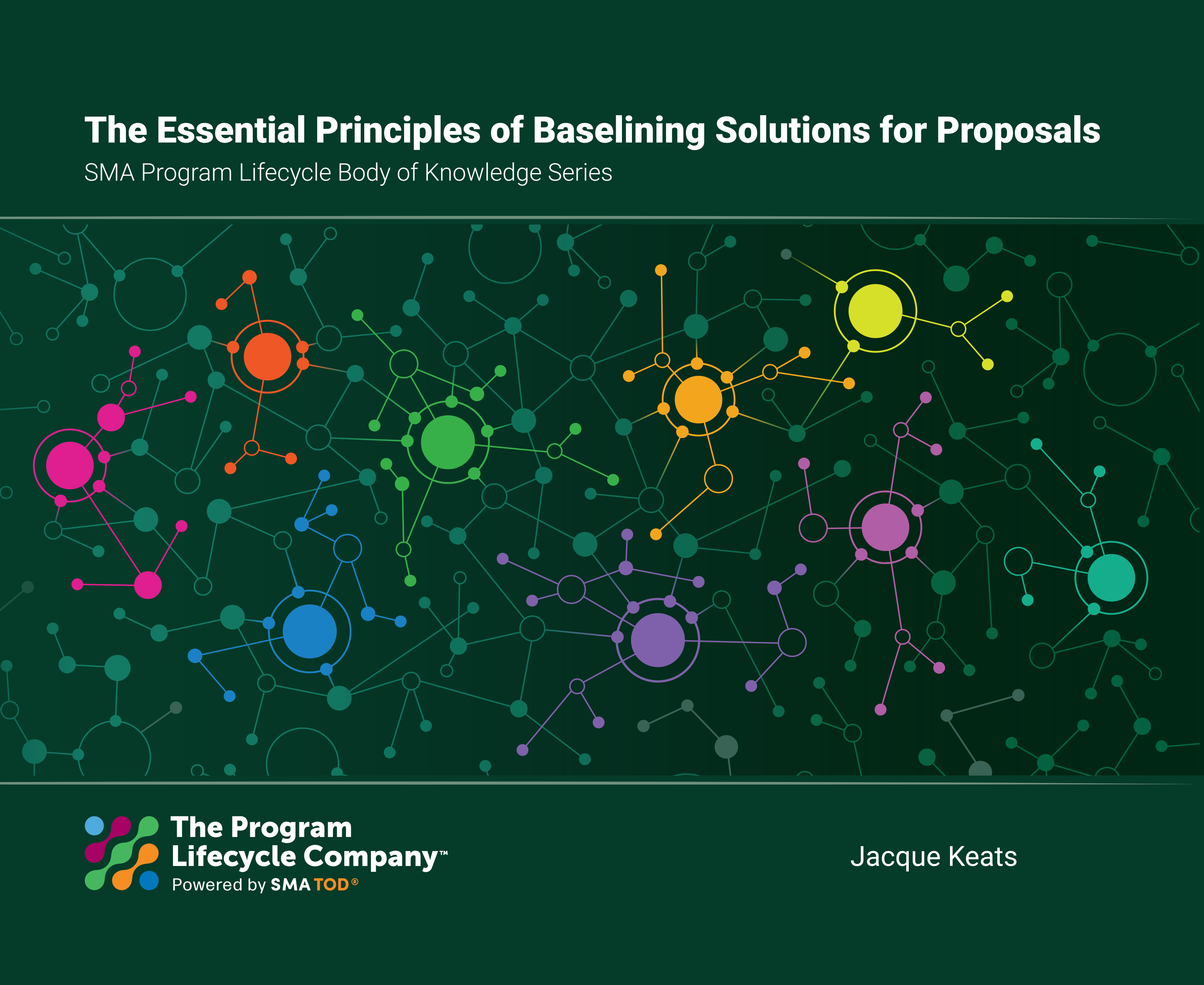 Cover for "The Essential Principles of Baselining Solutions for Proposals"