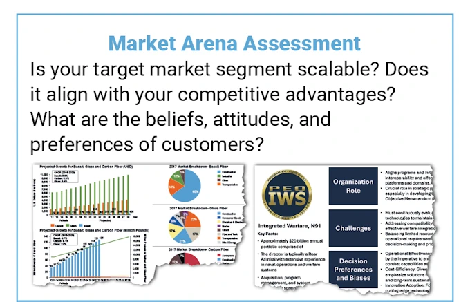 The Program Lifecycle Company® Market Arena Assessment