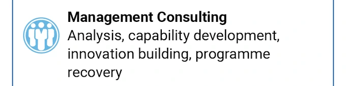 The Program Lifecycle Company® Management Consulting.