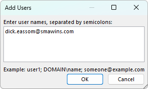Microsoft Word Add Users